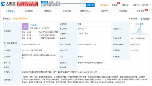 科大訊飛深耕軟件服務，安徽成立新公司加速業務版圖擴張